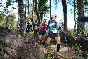 BIB: 
                            <button type="button" onclick="openModal(18941305)" class="btn btn-primary btn-sm float-right btn-popup" data-toggle="modal" data-target=".modal-high-quality">
                        <i class="fas fa-shopping-cart"></i> Add to Cart
                    </button>
                                            <button type="button" onclick="isThisMe(18941305, true)" class="btn btn-success btn-sm float-right btn-popup btn-isme hidden" data-toggle="tooltip" data-placement="bottom" title="นี่คือรูปของคุณใช่ไหม คลิกที่นี่เพื่อเอาเข้าอัลบั้ม">
                        <i class="fas fa-plus"></i> Add to album
                    </button>
                    <button type="button" onclick="isThisMe(18941305, false)" class="btn btn-warning btn-sm float-right btn-popup btn-isnotme hidden">
                        <i class="fas fa-ban"></i> Remove from album
                    </button>